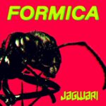 JAGWARI: fuori il nuovo brano “FORMICA”