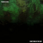 PAINTED VEIN: fuori il secondo singolo “Something In The Way”